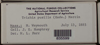Image Associated With the Occurence